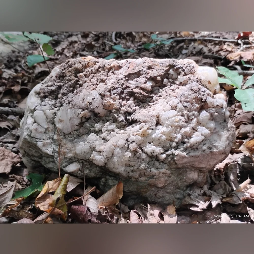Large Naturally Unearthed Quartz, in situ - Picture 2 of 3